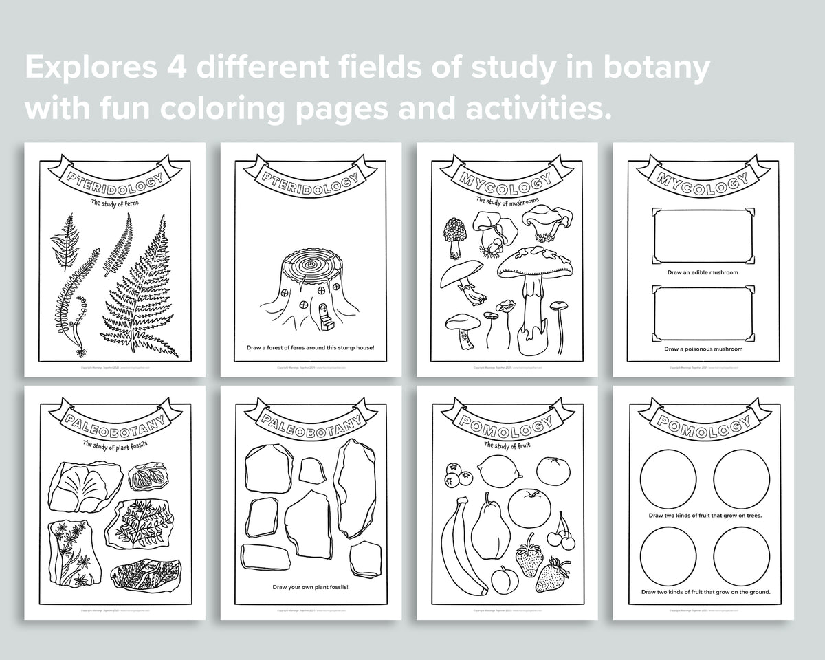 Giant Nature Coloring Poster Homeschool Printables Black and White Large  Coloring Pages Fern Mushroom Flower Bees Moth Botany 