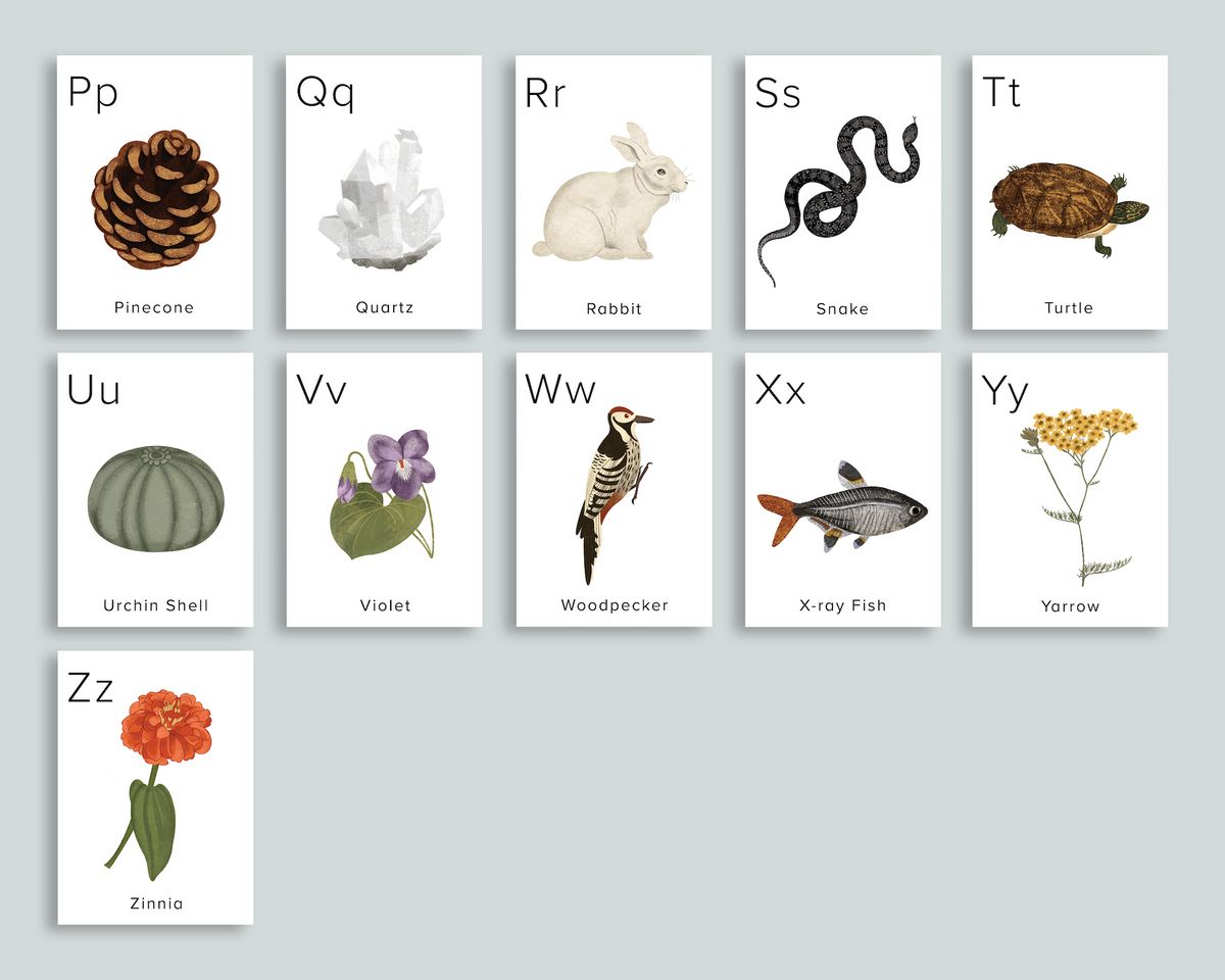 Flashcards alphabet • Nature & Découvertes Suisse