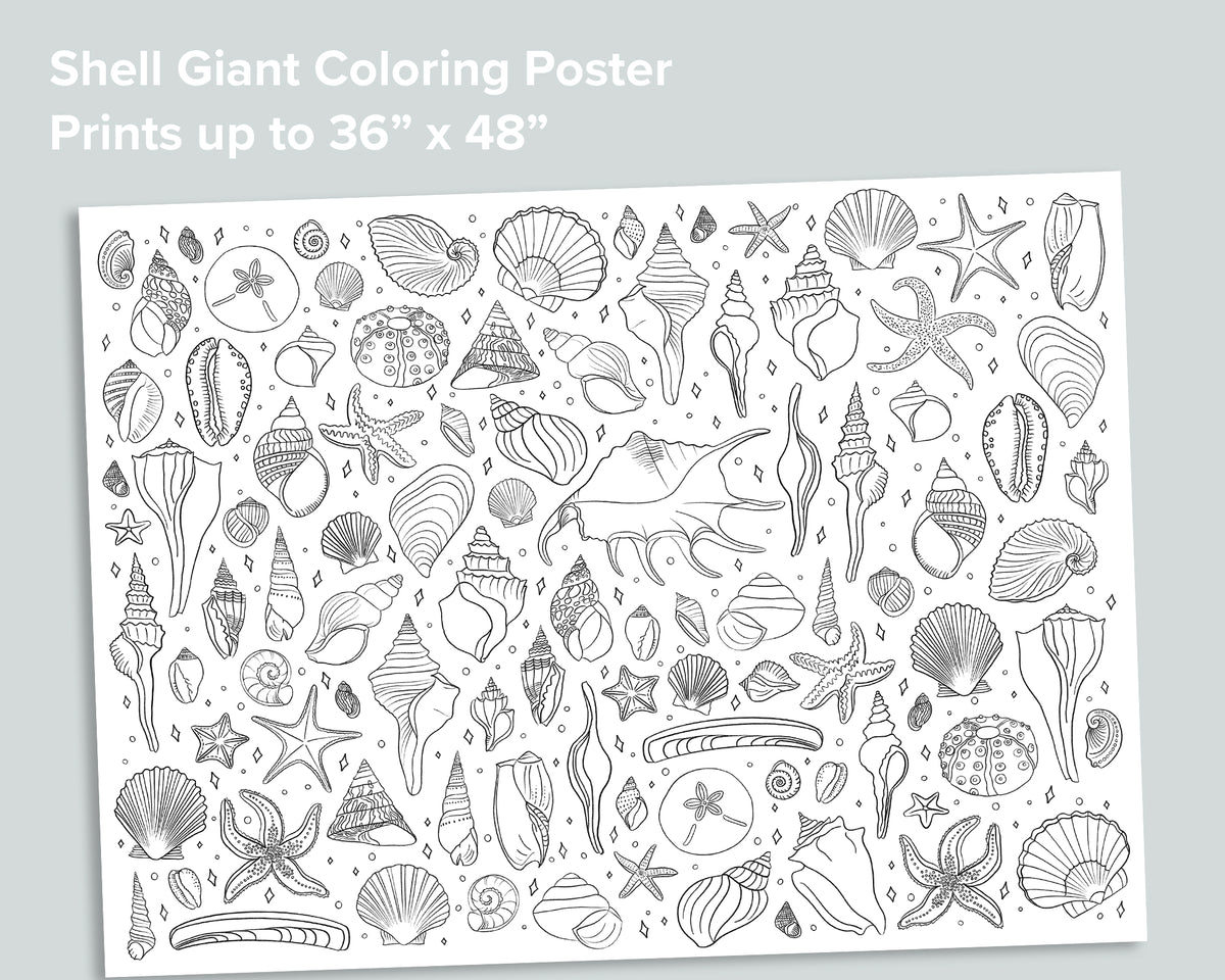 Bugs Giant Coloring Poster – Mornings Together