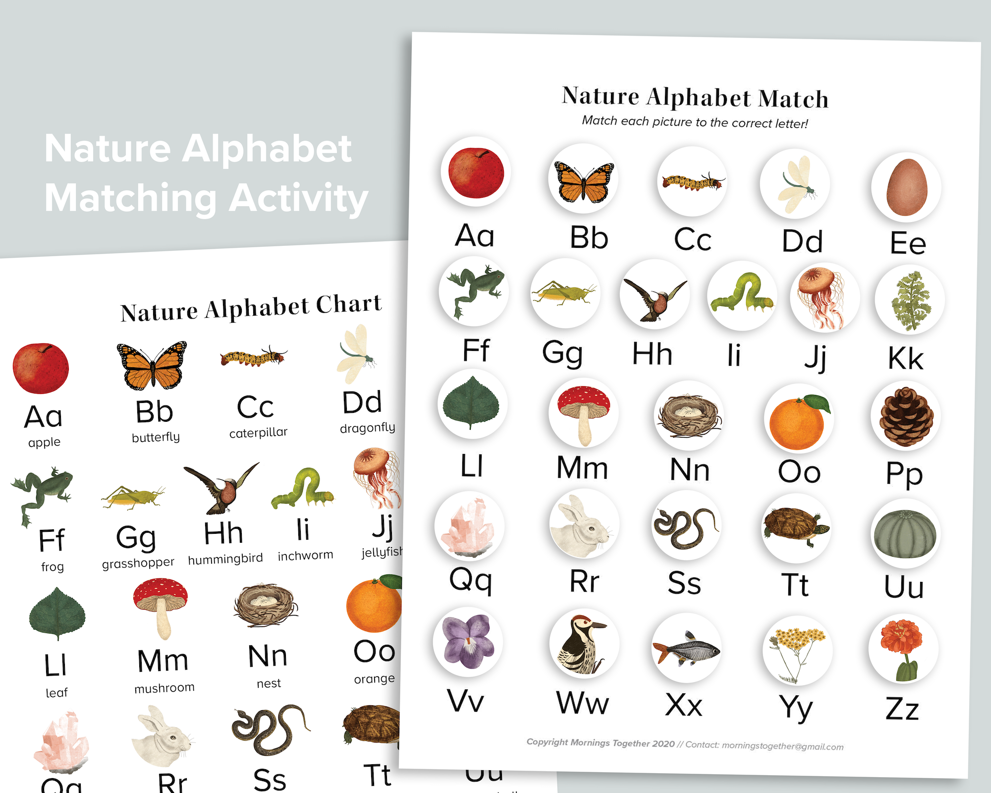 Decoding Nature's Menu: The Ultimate Guide to Matching the Hatch