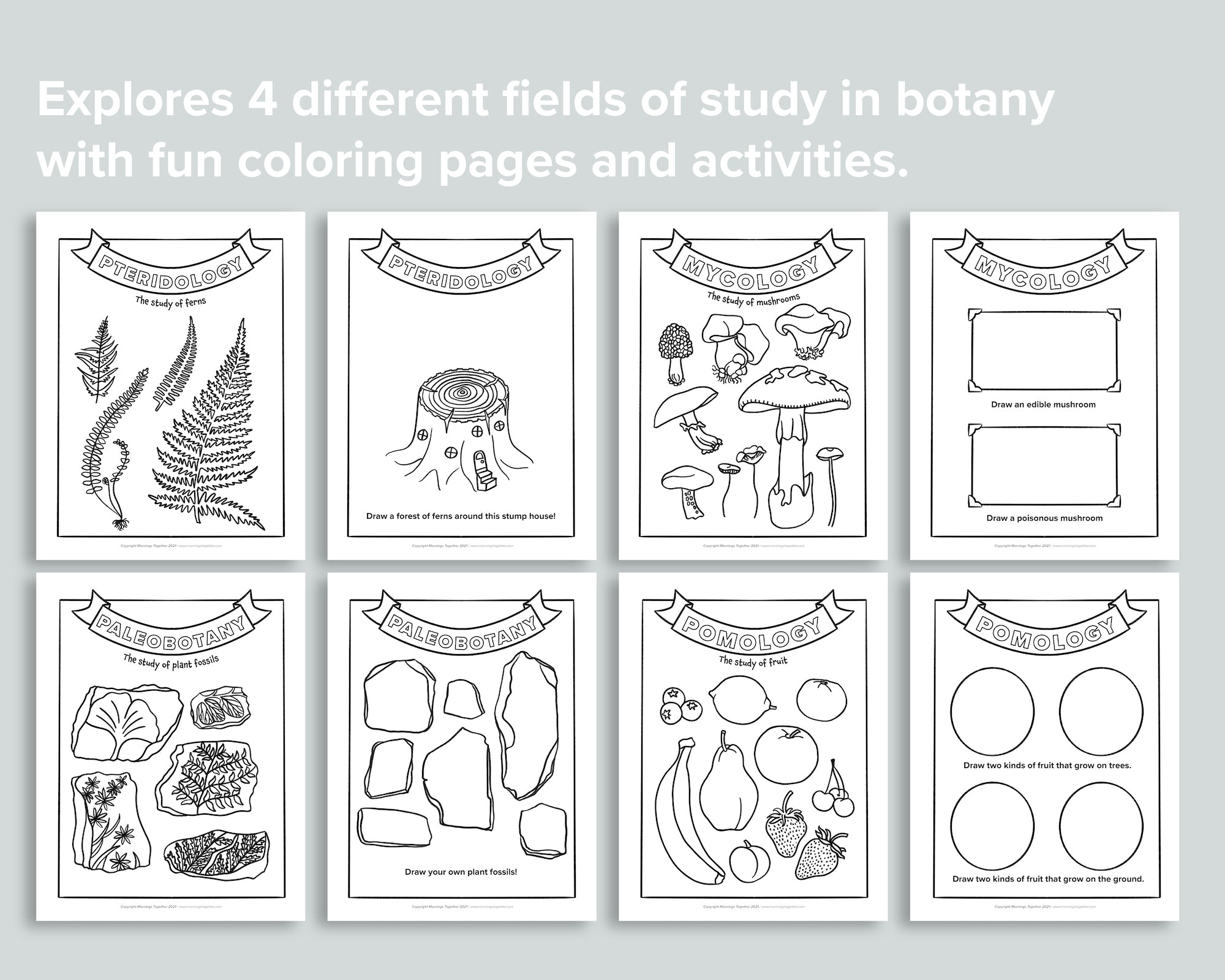coloring pages of fields